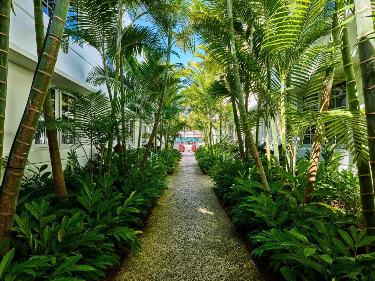Axel Beach Miami-South Beach - Adults Only Miami Beach Exterior foto